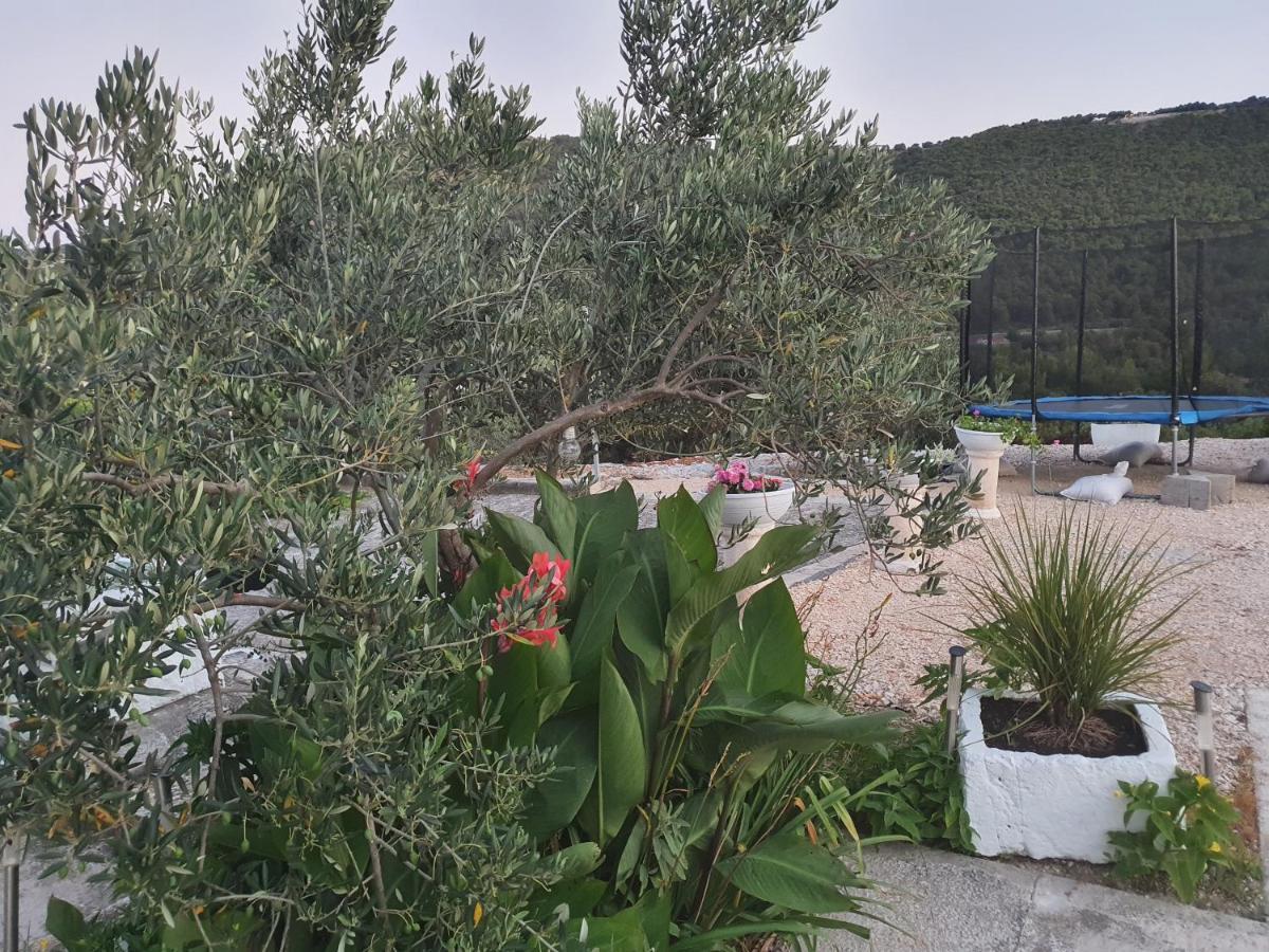 Apartman Mare Sibenik Exterior photo