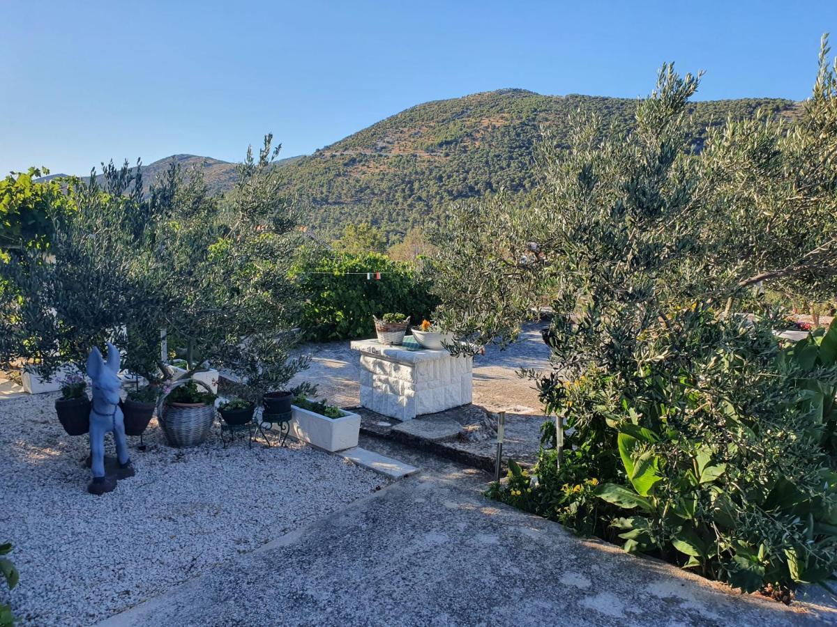 Apartman Mare Sibenik Exterior photo
