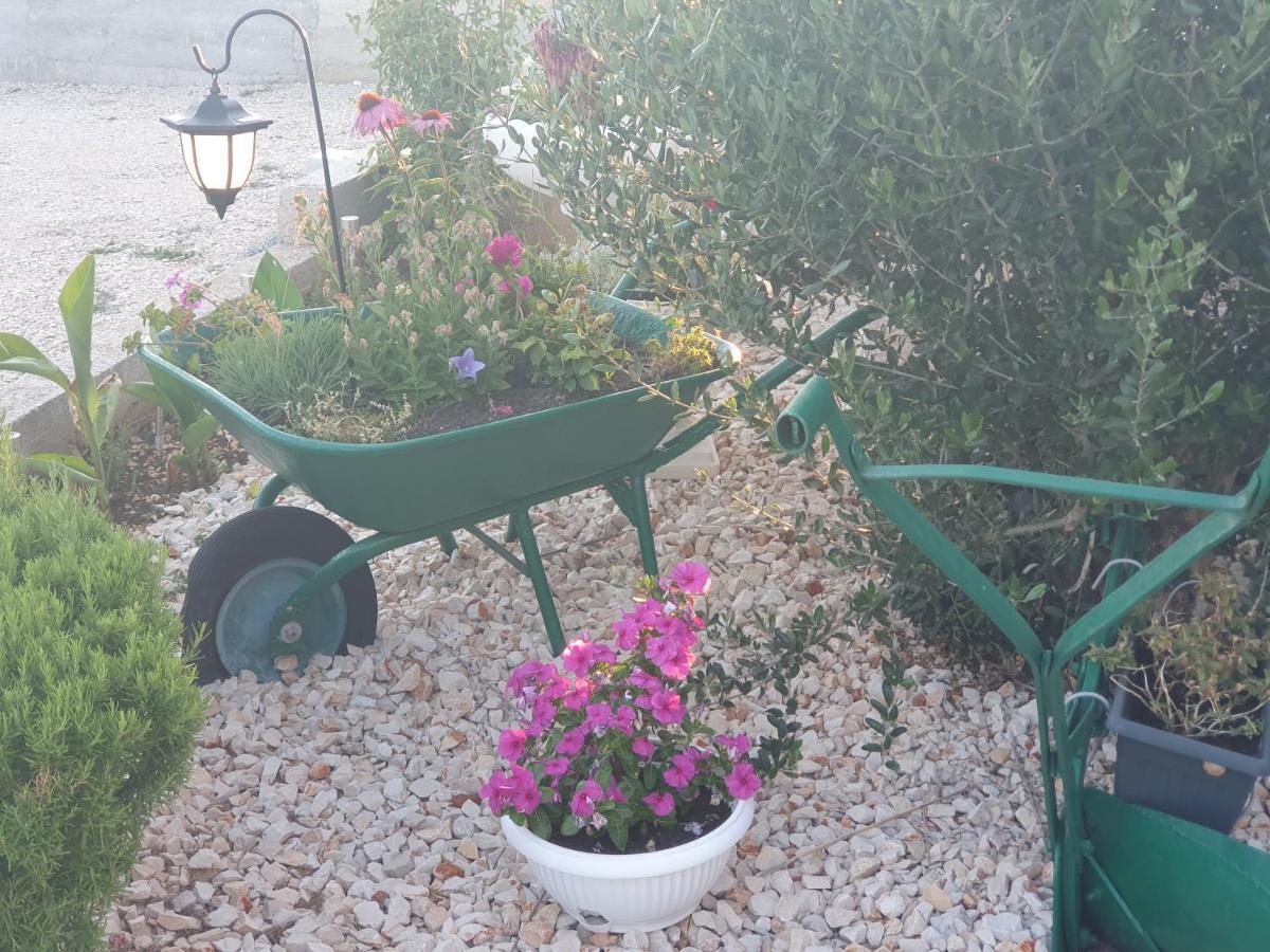 Apartman Mare Sibenik Exterior photo